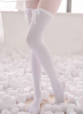 猫的协奏曲
