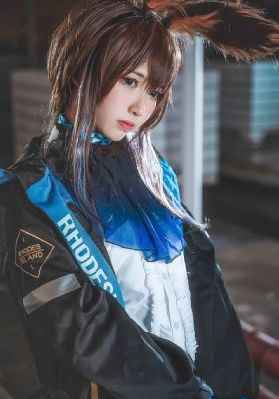 青瓷迷踪